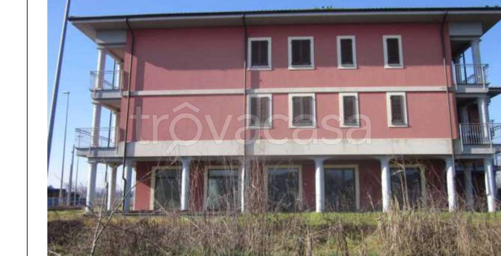 immagine annuncio 5 di 12