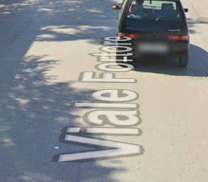 immagine annuncio 10 di 12