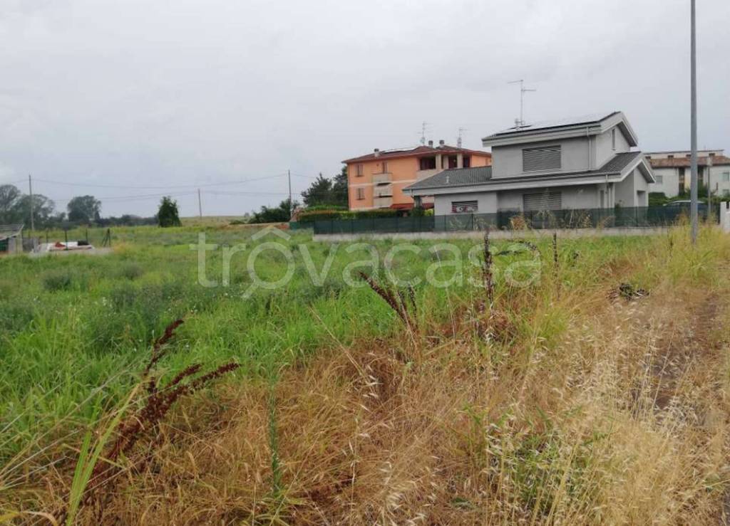 immagine annuncio 2 di 11