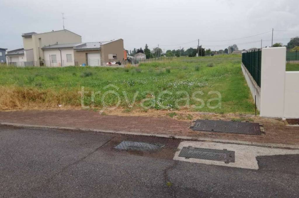 immagine annuncio 3 di 11