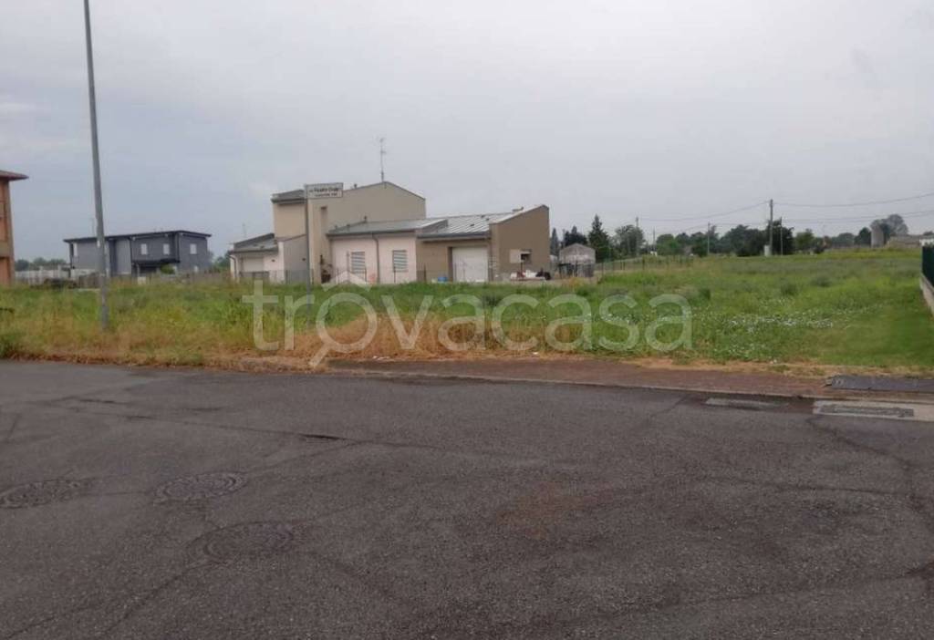 immagine annuncio 5 di 11