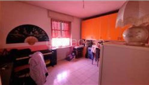 immagine annuncio 11 di 14