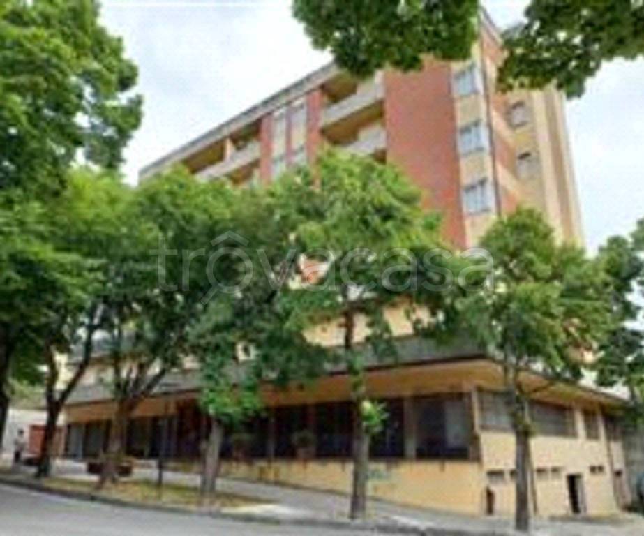 immagine annuncio 6 di 11