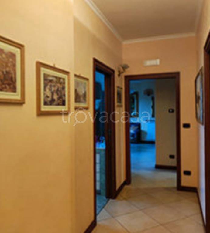 immagine annuncio 6 di 14