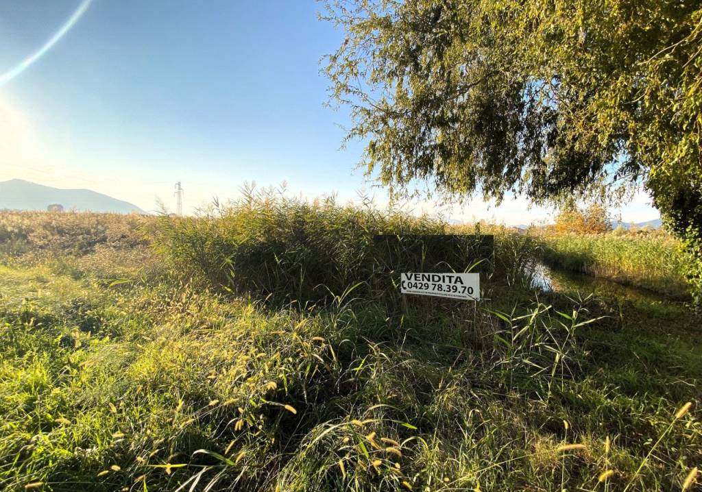 immagine annuncio 4 di 6