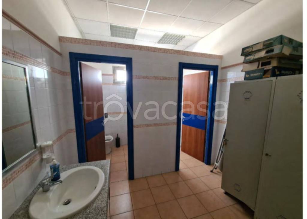 immagine annuncio 6 di 11