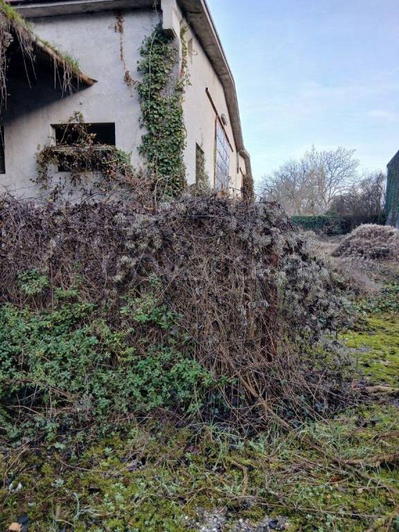 immagine annuncio 1 di 3