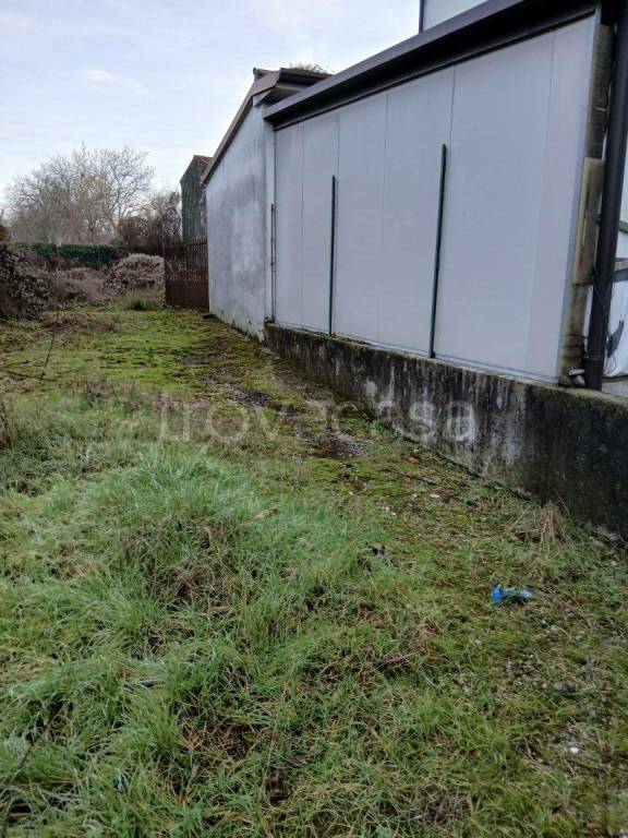 immagine annuncio 2 di 3