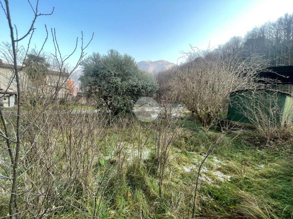 immagine annuncio 6 di 9