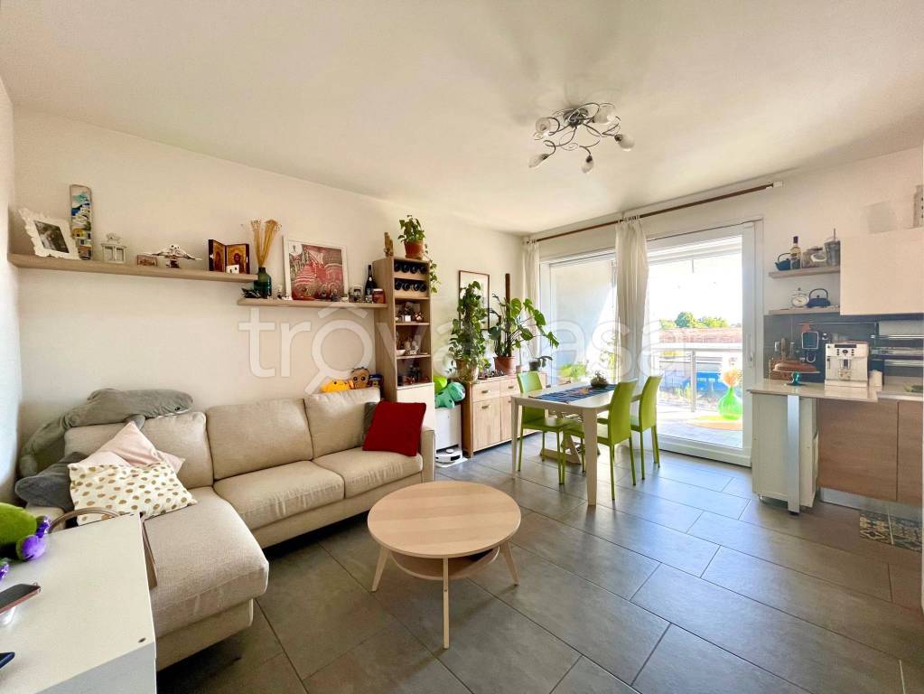 immagine annuncio 6 di 15