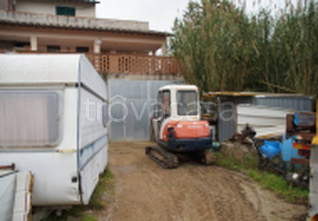 immagine annuncio 5 di 11