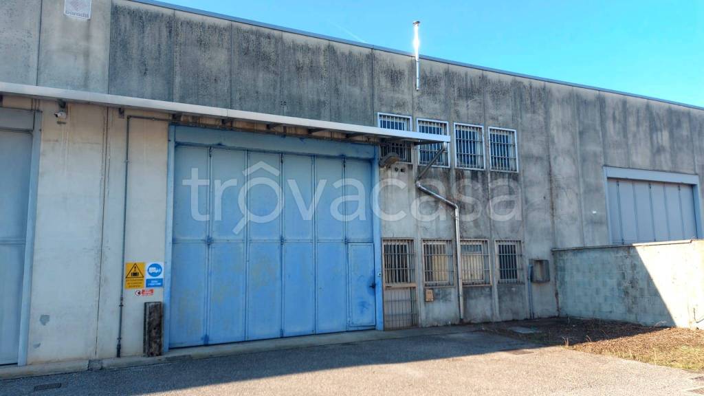 immagine annuncio 1 di 14