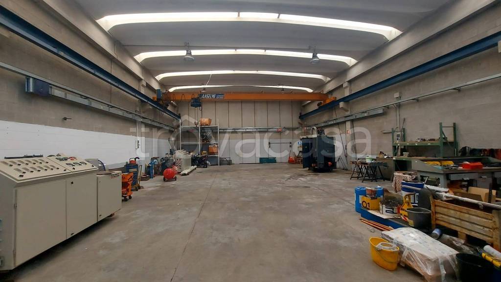 immagine annuncio 5 di 14