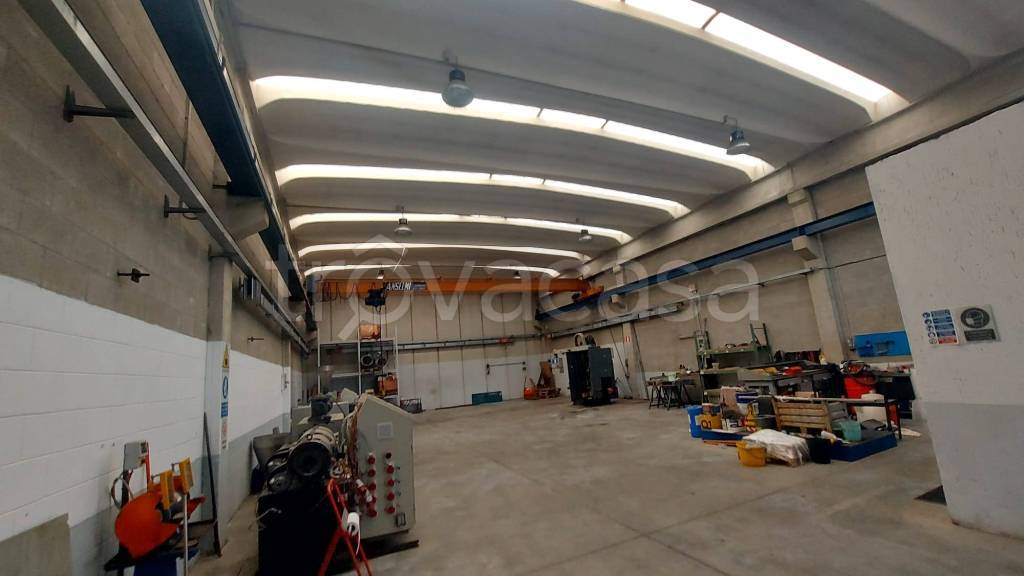 immagine annuncio 11 di 14