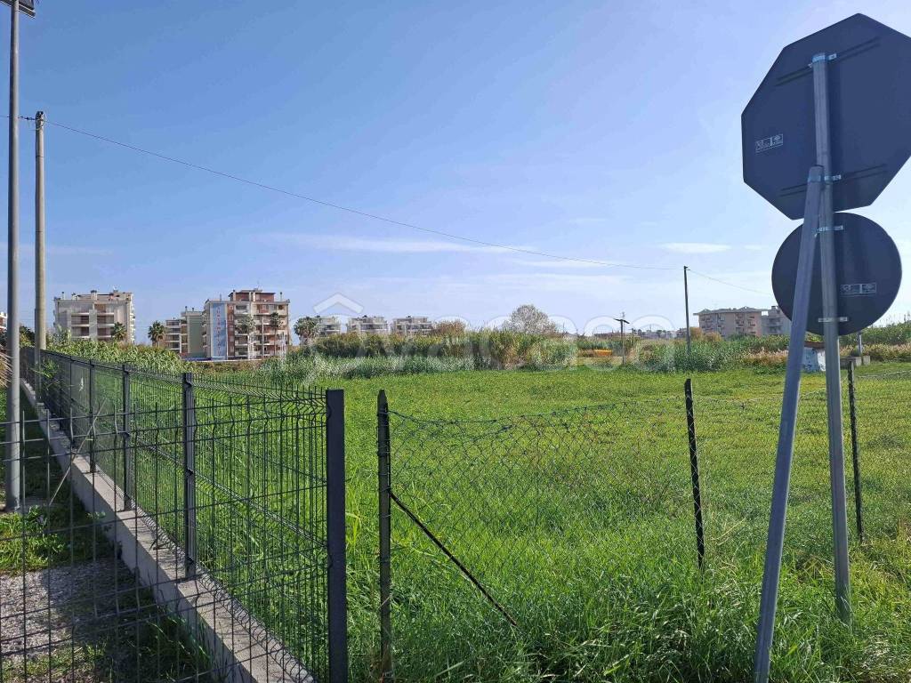 immagine annuncio 2 di 6