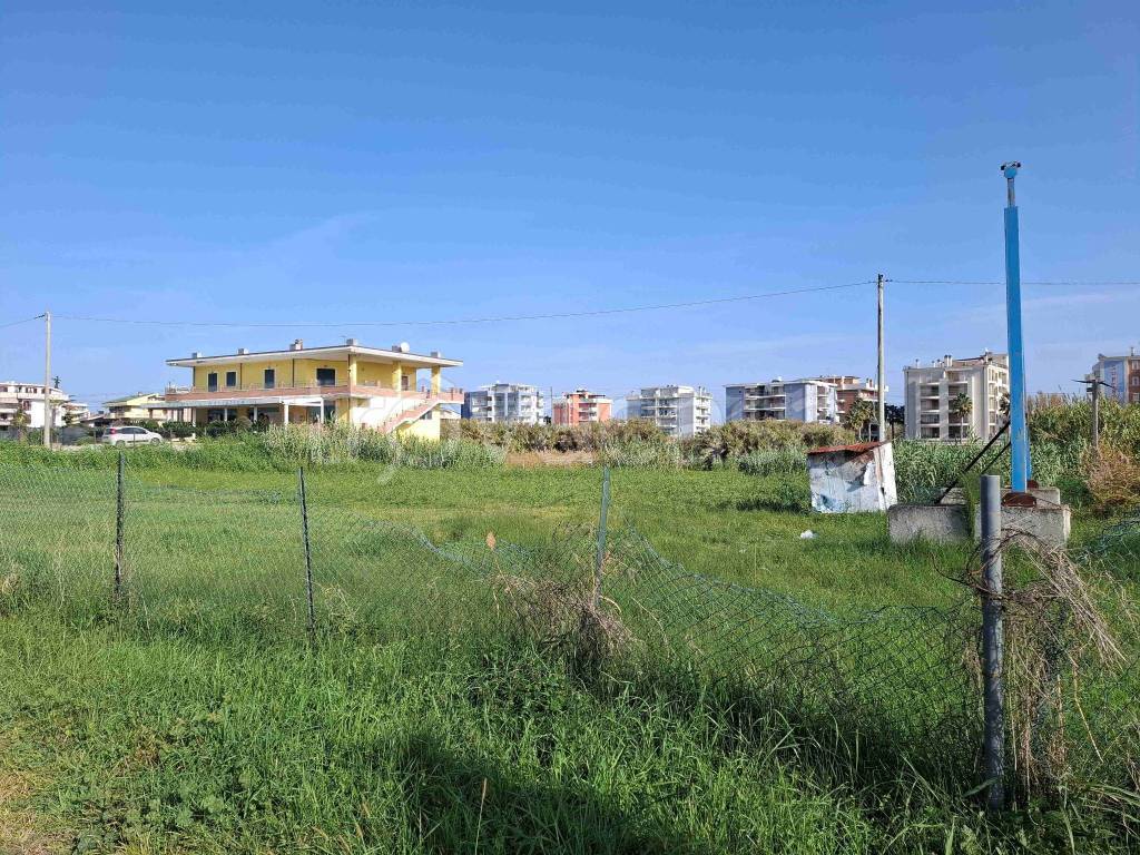 immagine annuncio 3 di 6