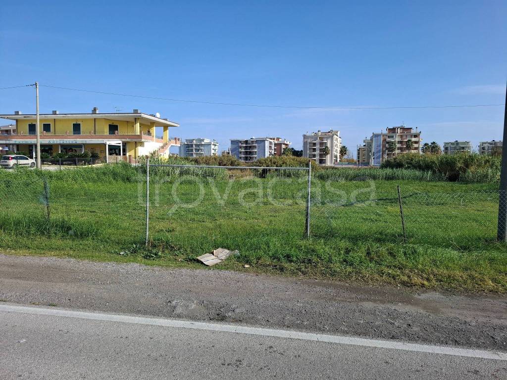 immagine annuncio 4 di 6