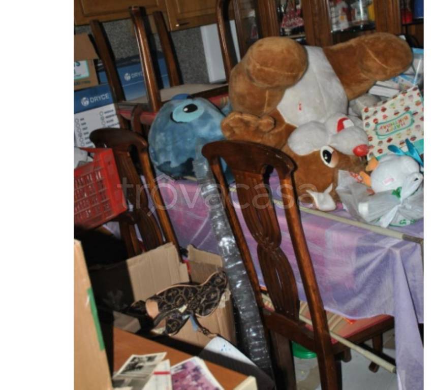 immagine annuncio 12 di 15