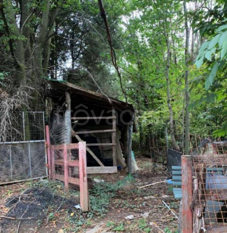 immagine annuncio 10 di 15