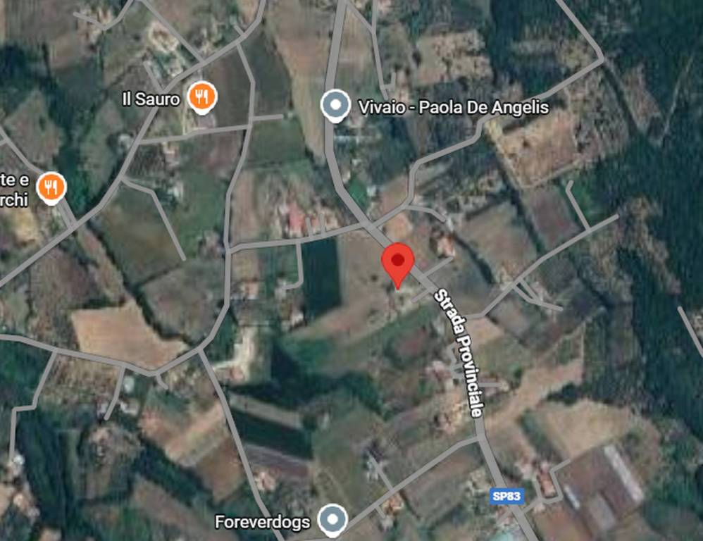 immagine annuncio 8 di 11