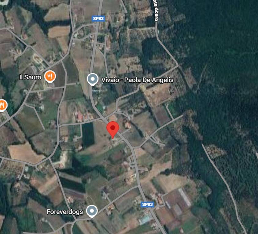 immagine annuncio 9 di 11