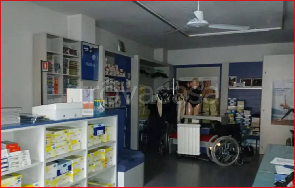 immagine annuncio 3 di 12