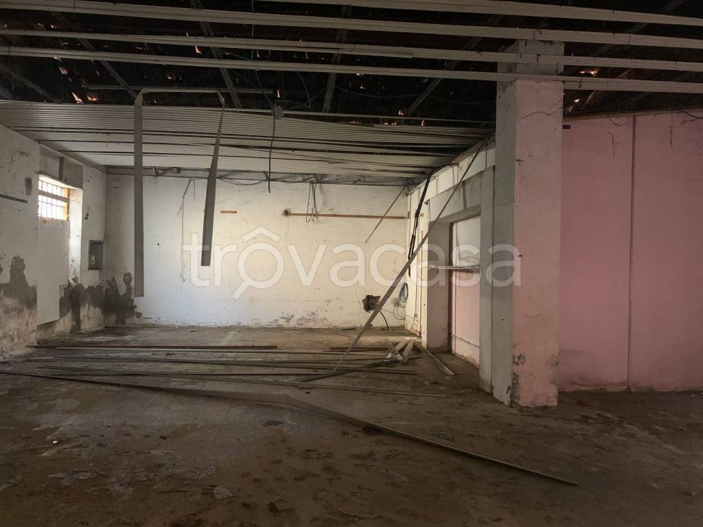 immagine annuncio 6 di 13