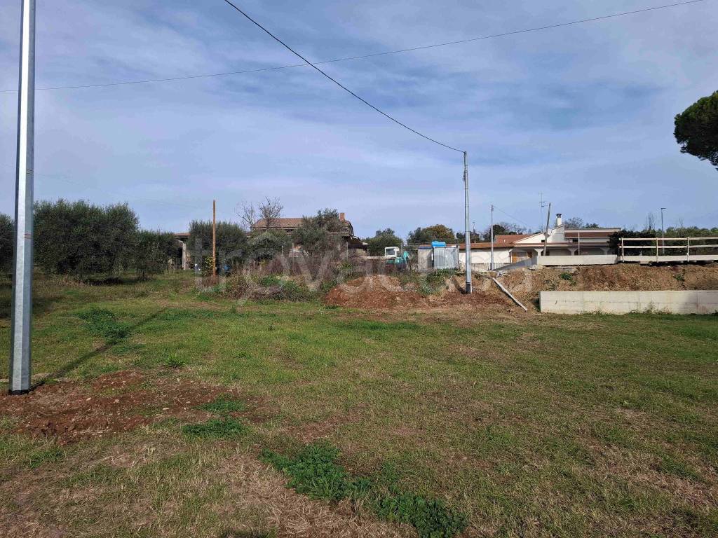 immagine annuncio 1 di 6