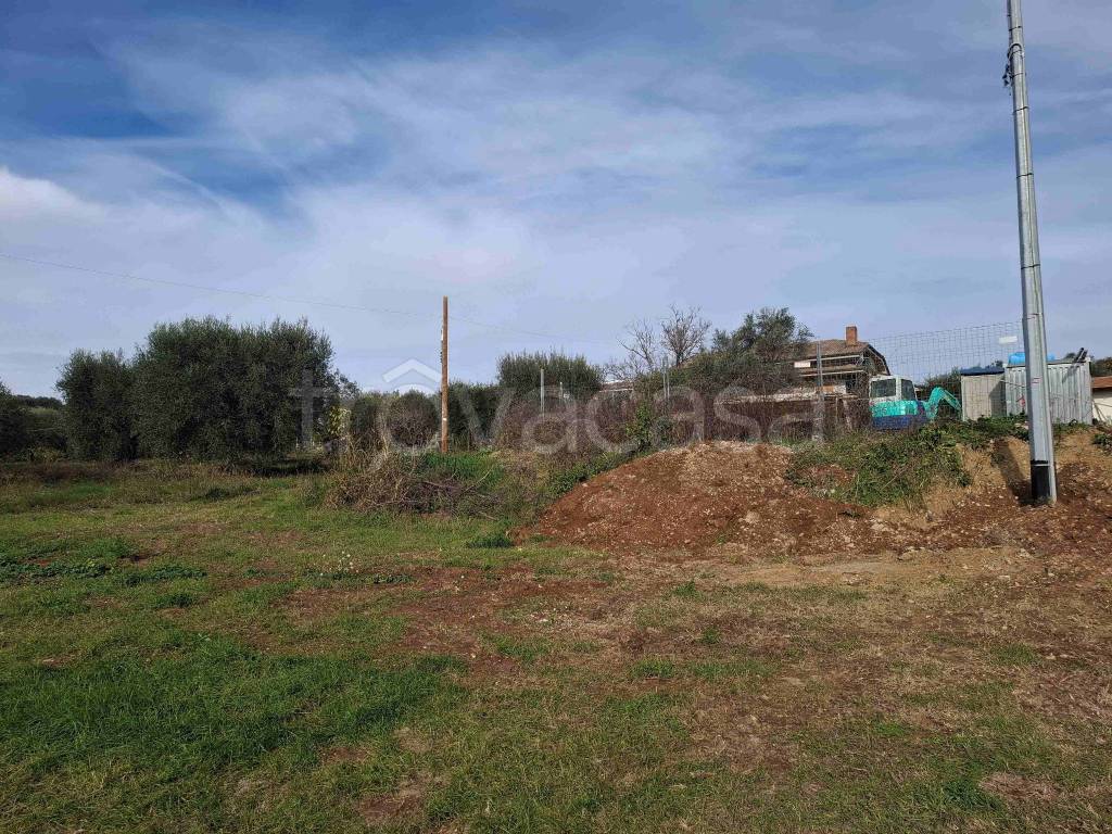 immagine annuncio 2 di 6