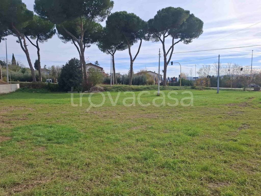 immagine annuncio 3 di 6