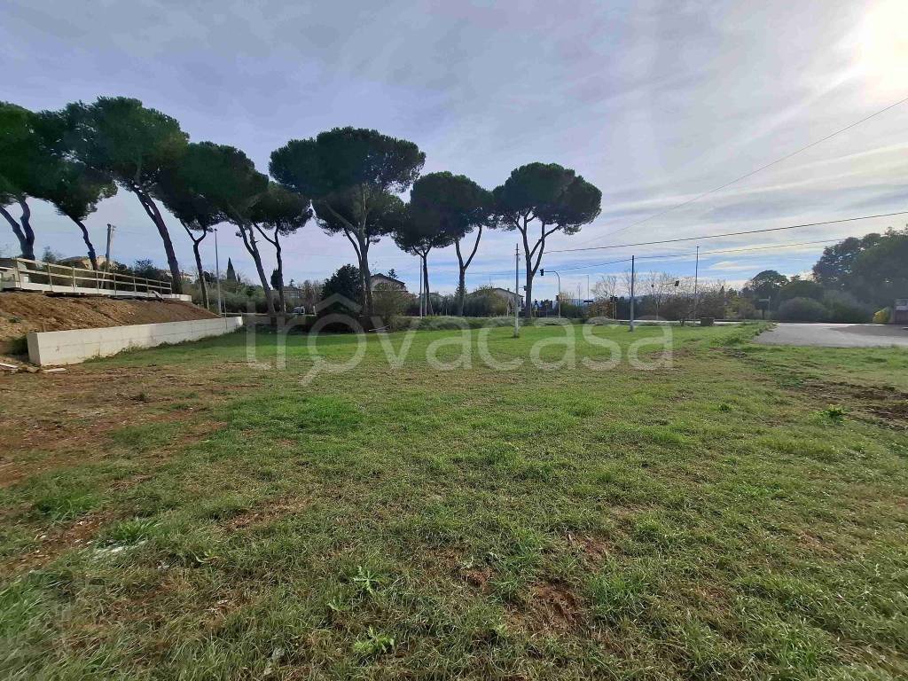 immagine annuncio 4 di 6