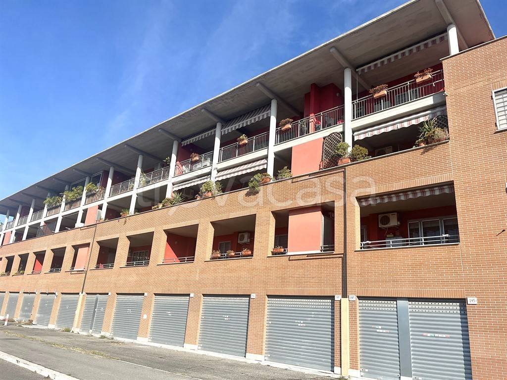 immagine annuncio 9 di 10