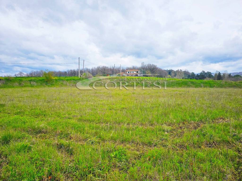 immagine annuncio 4 di 6