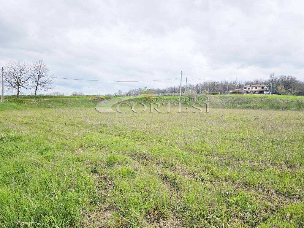 immagine annuncio 5 di 6