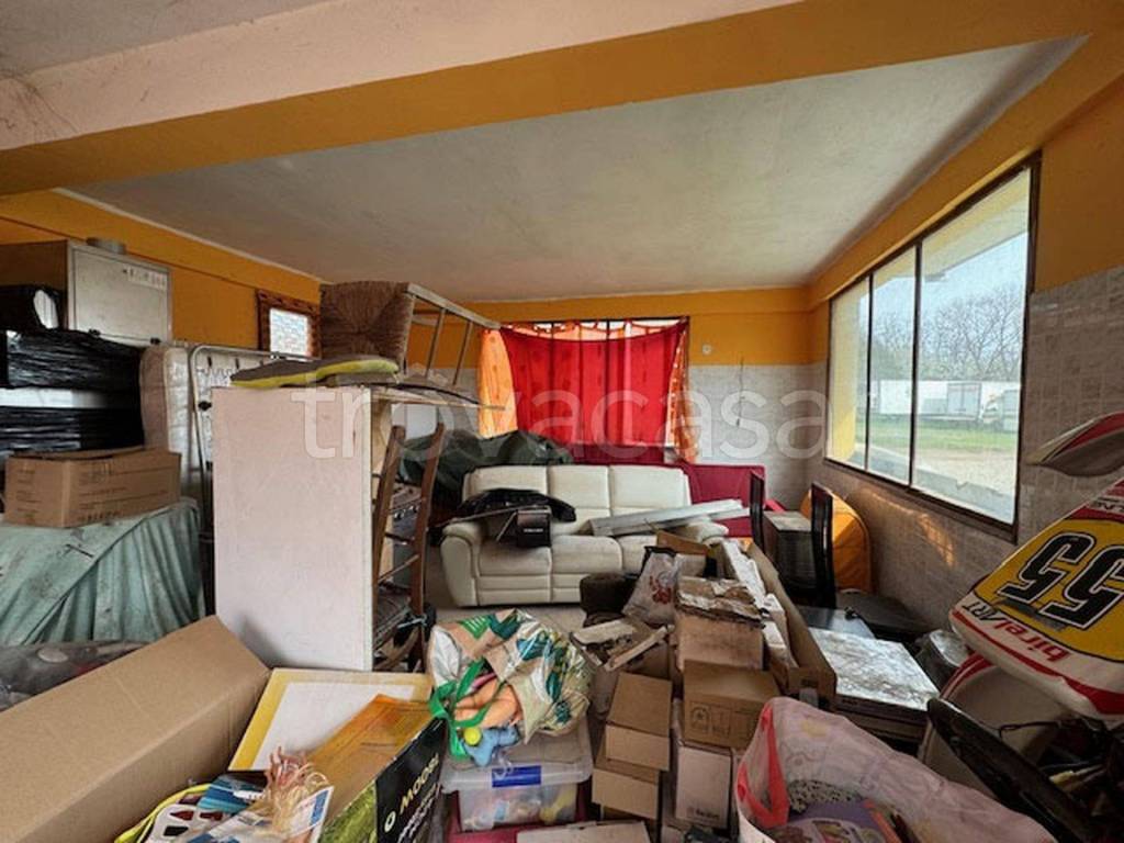 immagine annuncio 8 di 12