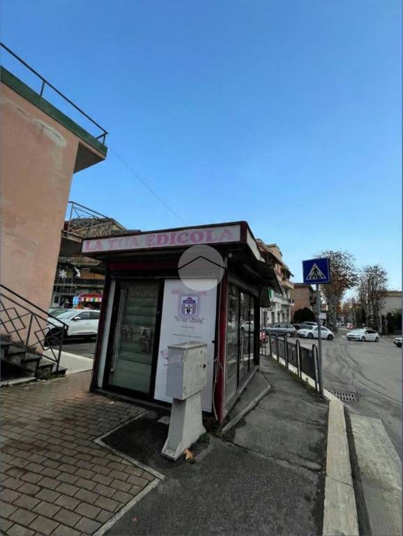 immagine annuncio 5 di 13