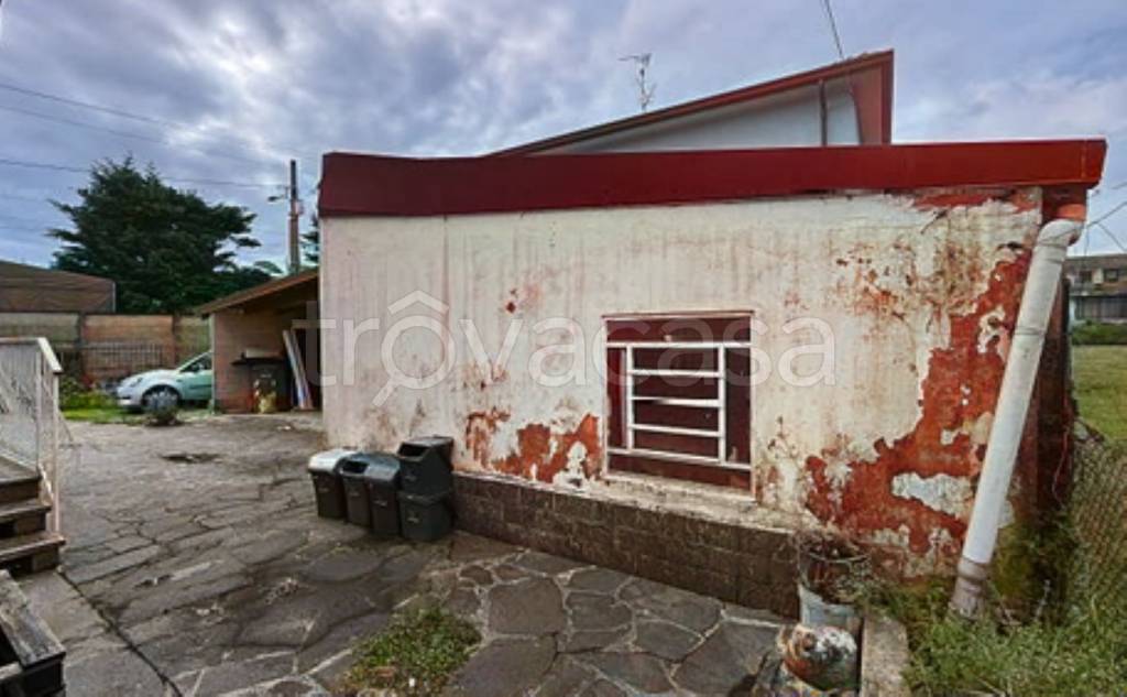 immagine annuncio 9 di 14