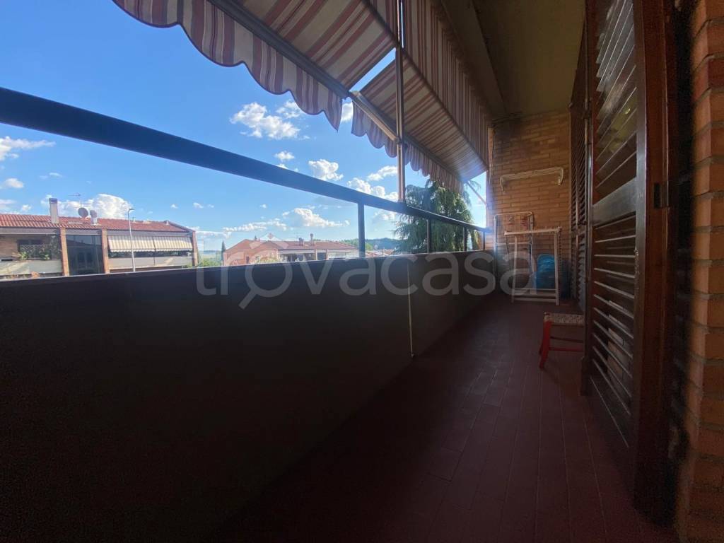 immagine annuncio 13 di 14