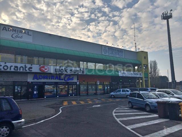 immagine annuncio 6 di 11