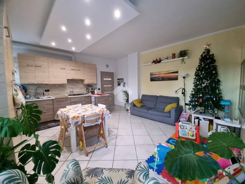 immagine annuncio 6 di 15