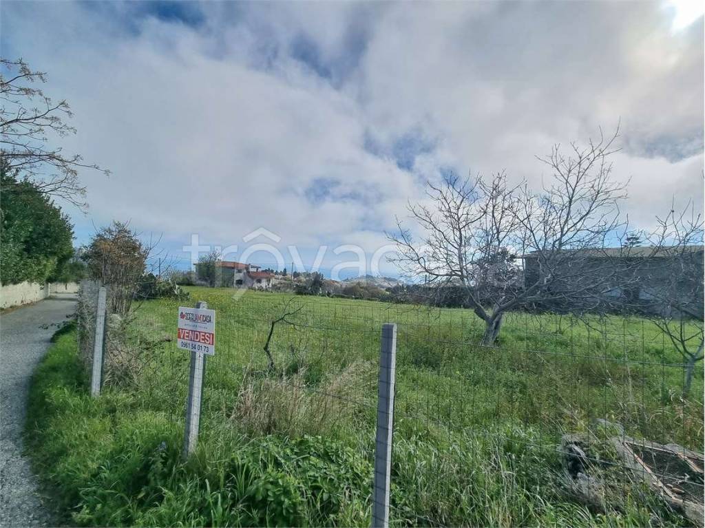 immagine annuncio 2 di 6