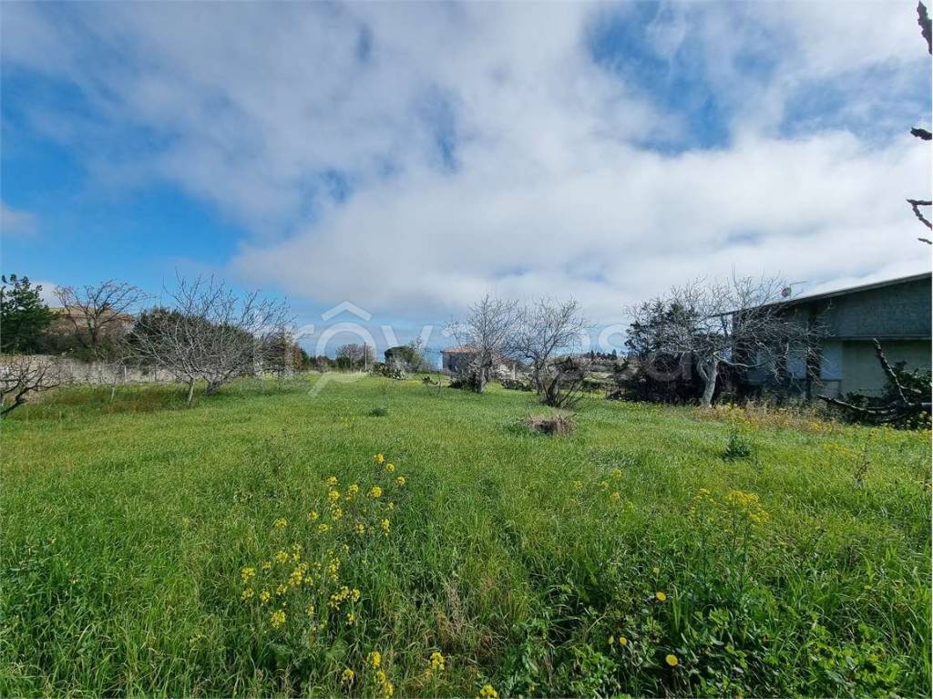 immagine annuncio 3 di 6