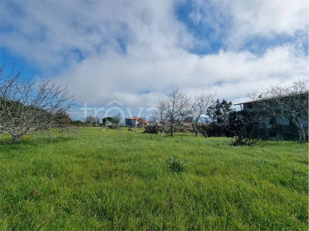 immagine annuncio 4 di 6