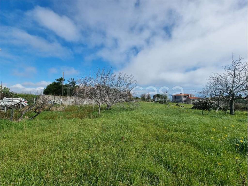 immagine annuncio 5 di 6