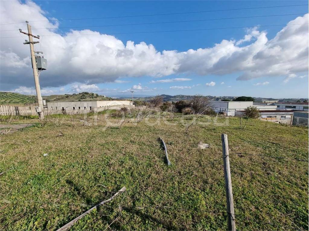 immagine annuncio 2 di 7