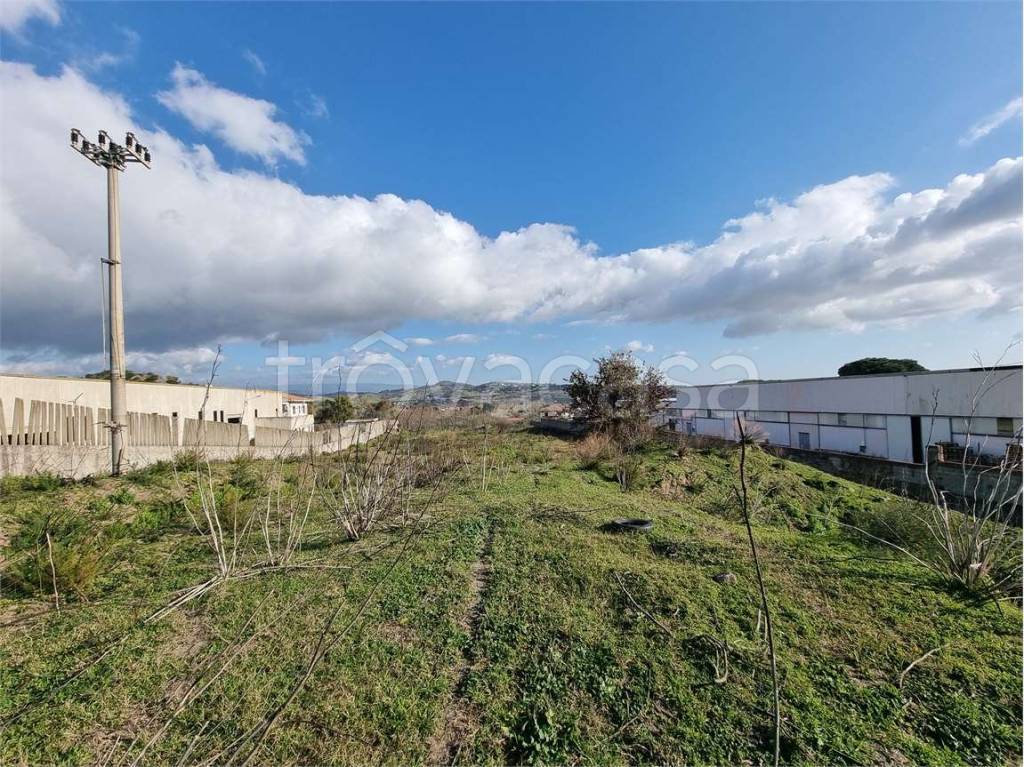 immagine annuncio 4 di 7