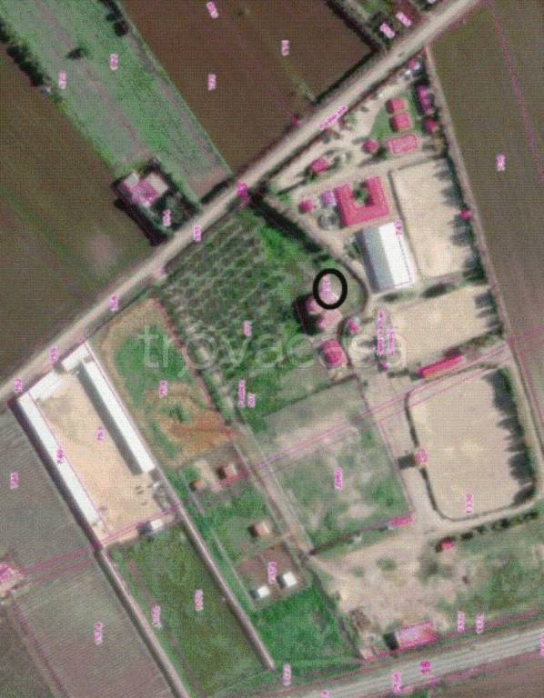 immagine annuncio 6 di 11