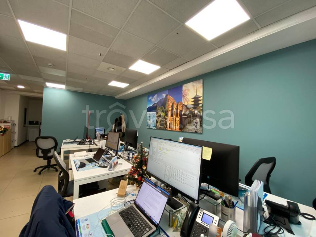 immagine annuncio 11 di 15