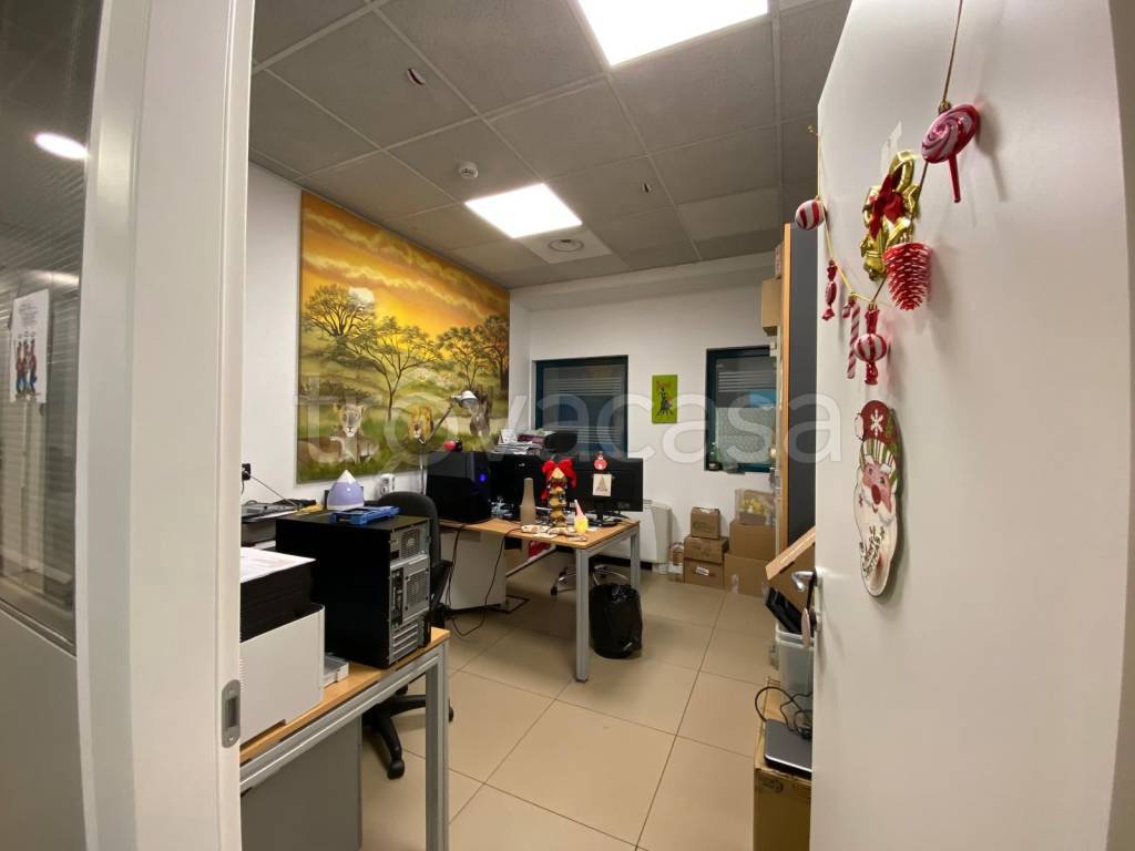 immagine annuncio 12 di 15