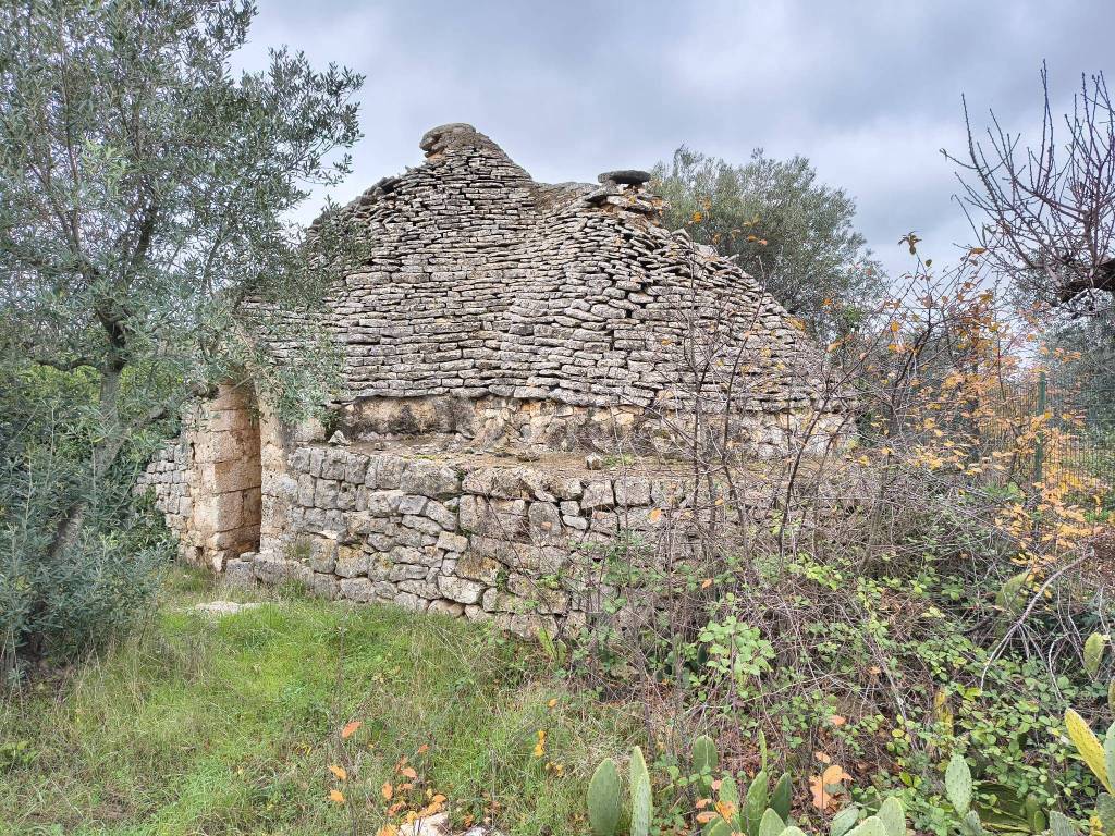 immagine annuncio 5 di 12